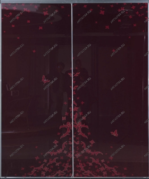 Диагональный шкаф-купе с фото бабочек